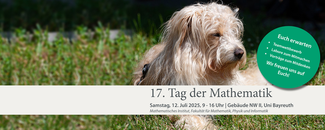 Plakat zum 17. Tag der Mathematik