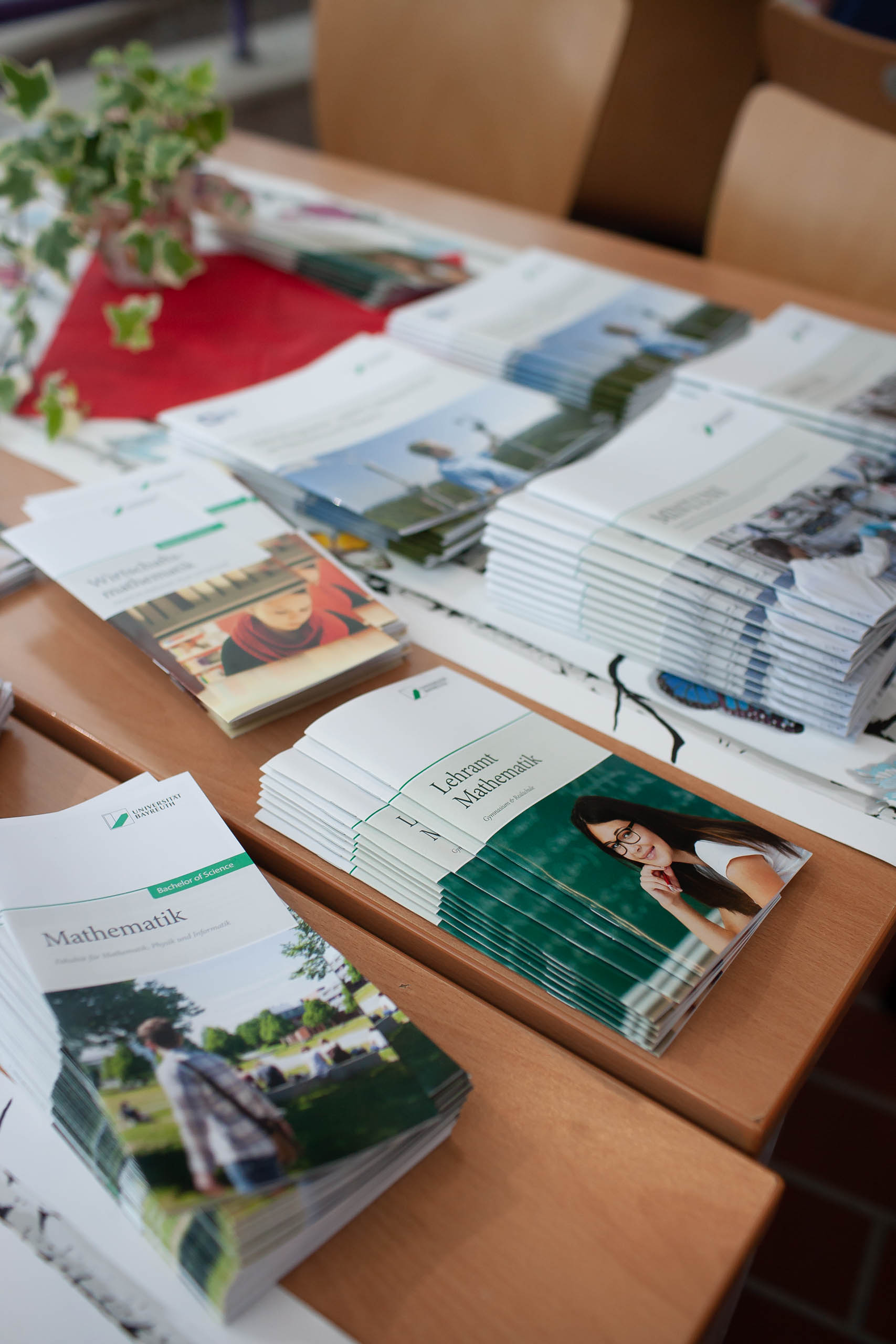 Newsletter für den TdM